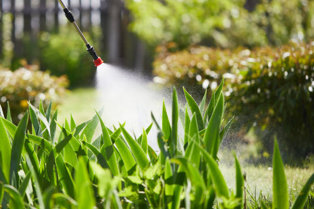 24/7 Emergency Ant Control experts in Hartford, IL