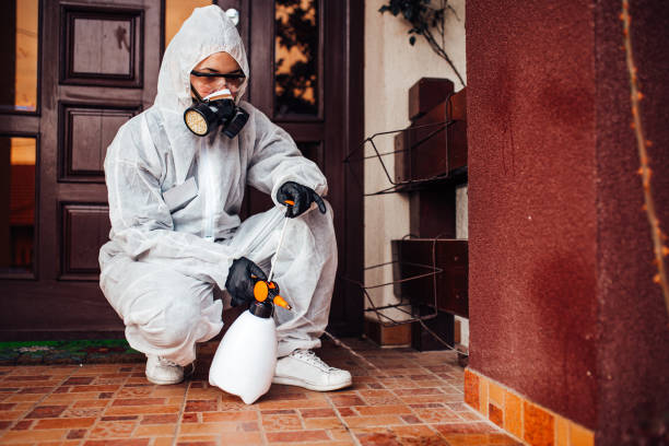Reliable Ant Control contractor in Hartford, IL by Nex Pest Control